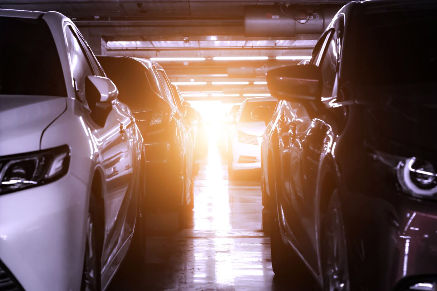 Residential estate driveway at golden hour
